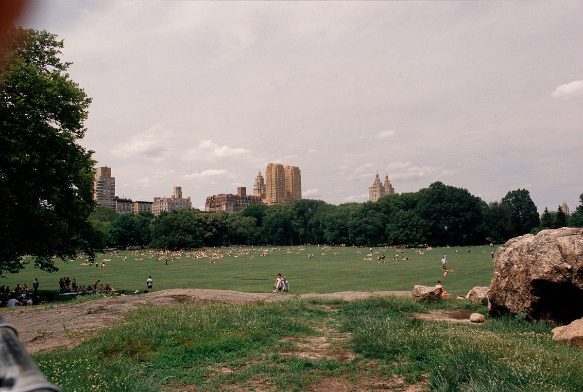 Superior resolution thanks to camera scanning: Insights from a NYC photo lab
