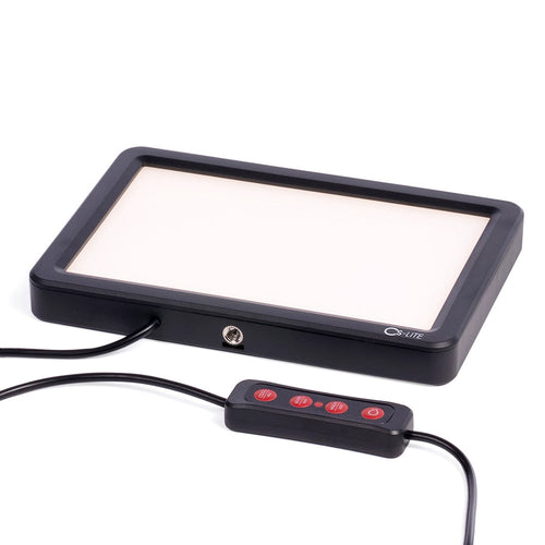 CS-LITE Lichtquelle und eine Fernbedienung auf weißem Hintergrund.